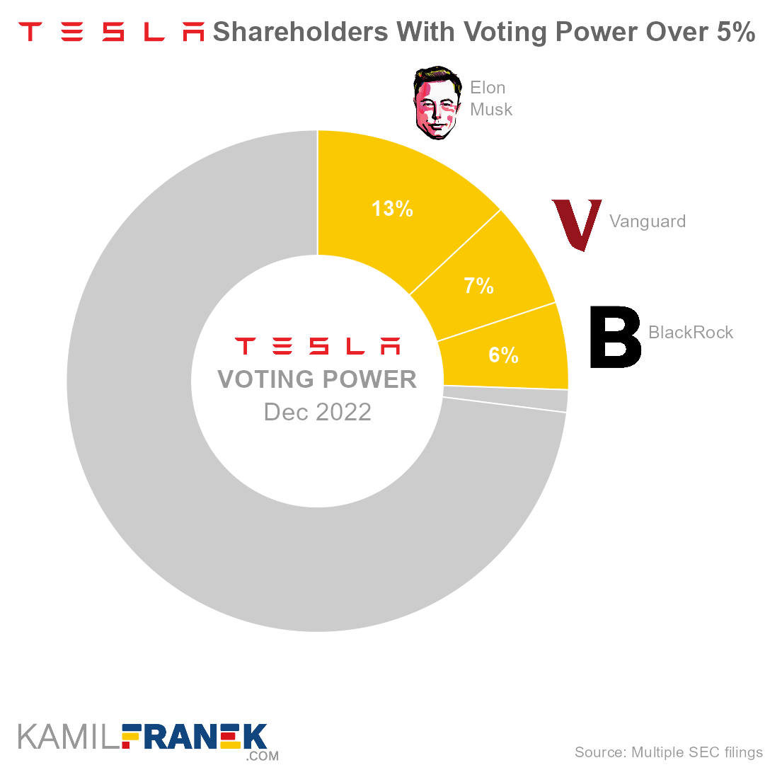 Who Owns Tesla The Largest Shareholders Overview KAMIL FRANEK